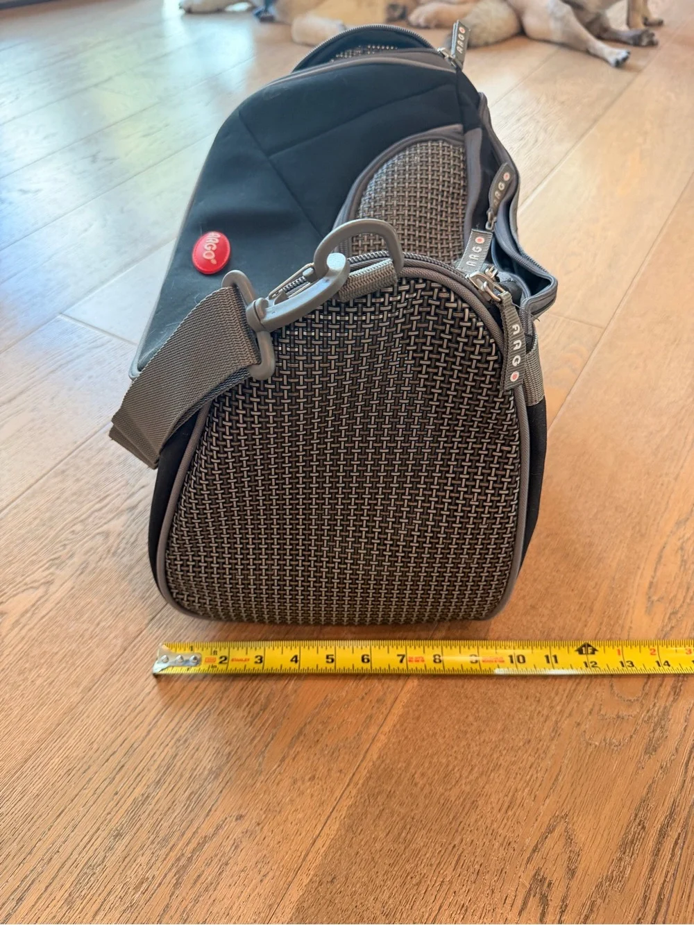 Black Pet Carrier soft Bag with Gray Trim